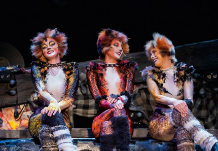 Anneke Brunekreeft (Demeter), Birgit Arquin (Bombalurina) und Barbara Obermeier (Jellylorum)